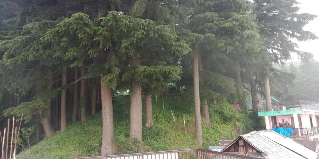 Hotel Forest View Lāhri Εξωτερικό φωτογραφία