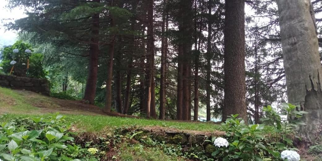 Hotel Forest View Lāhri Εξωτερικό φωτογραφία